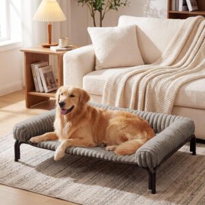 Large Elevated Dog Bed Removable Bolster Cushion