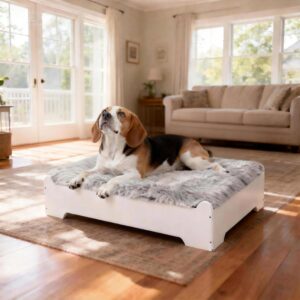 Medium Elevated Wooden Dog Bed with Cushion